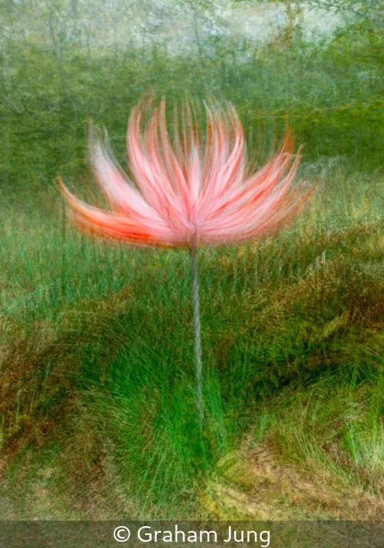 Club_Graham Jung_001_Third.jpg