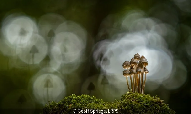Open_Geoff Spriegel_001_Highly Commended.jpg