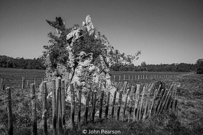 Advanced_John Pearson_002_8.5.jpg