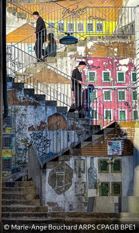 Advanced_Marie-Ange Bouchard_The Descent of Man_Commended.jpg