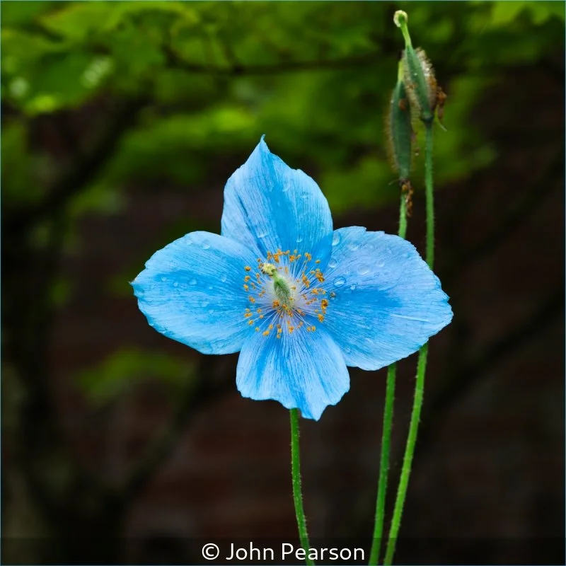 Advanced_John Pearson_002_Not Selected.jpg