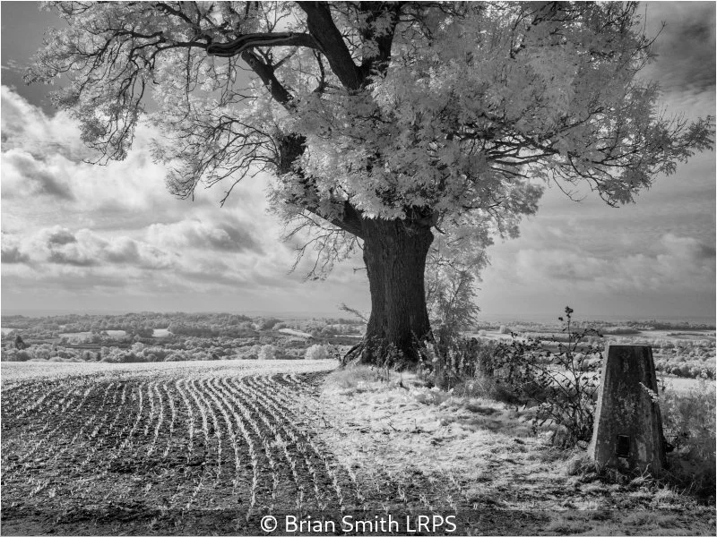 Advanced_Brian Smith_001_8.5.jpg