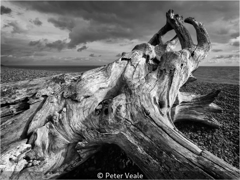 Advanced_Peter Veale_002_9.jpg