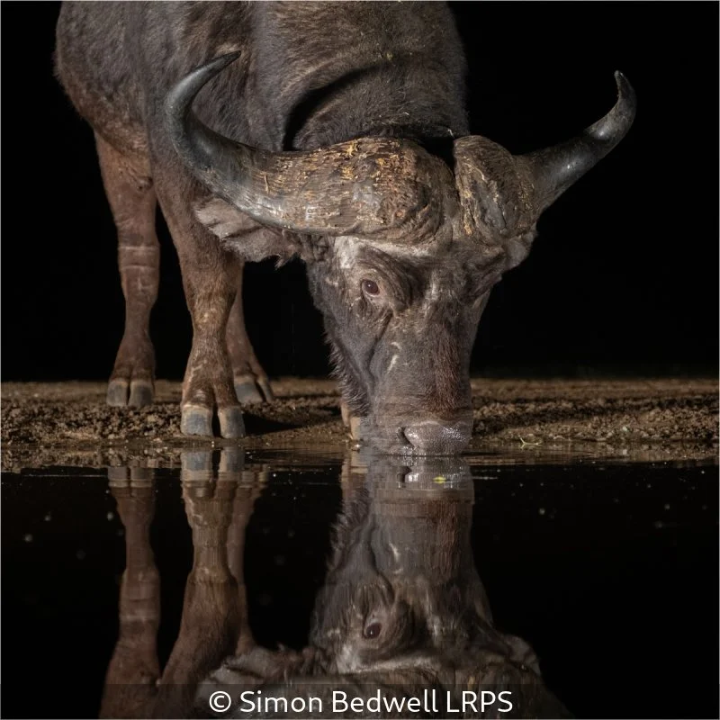 Open_Simon Bedwell_001_9.5.jpg