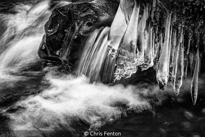 Advanced_Chris Fenton_002_7.jpg