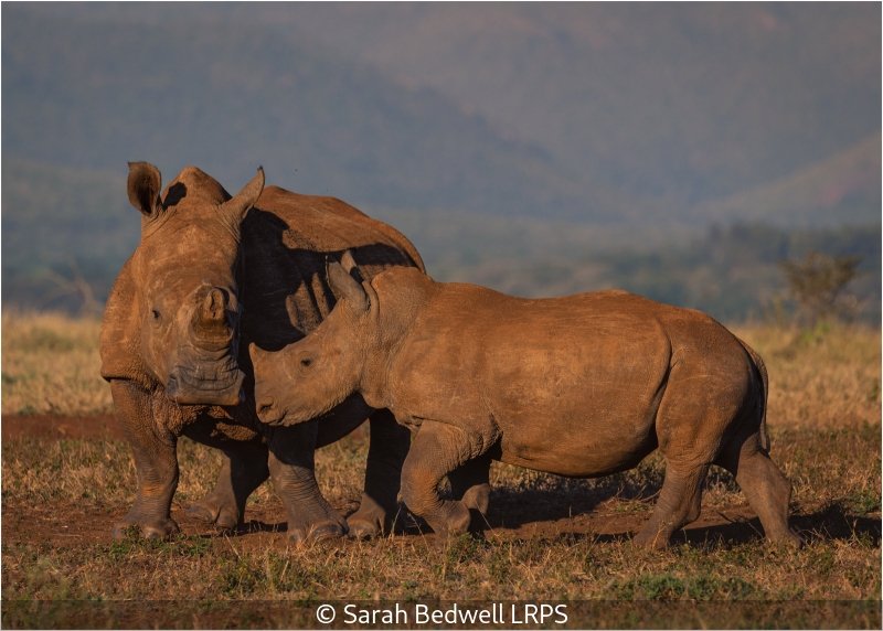 Open_Sarah Bedwell_002_9.5.jpg