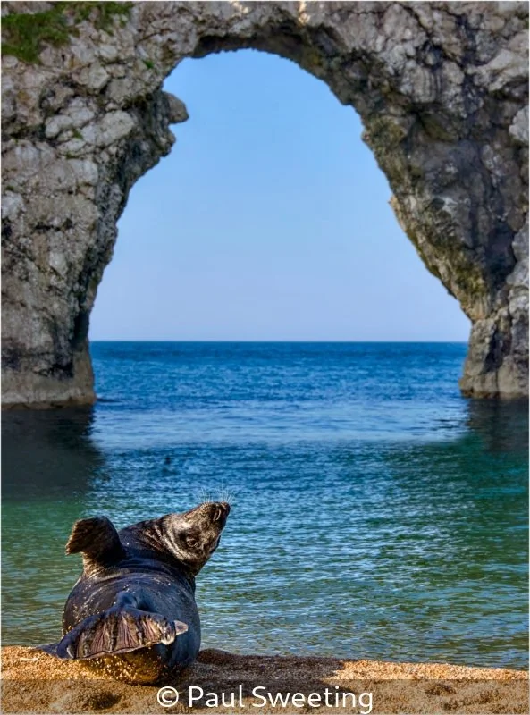 Open_Paul Sweeting_002_8.5.jpg