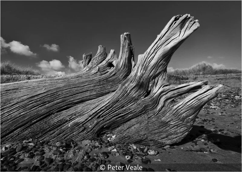 Advanced_Peter Veale_002_9.5.jpg