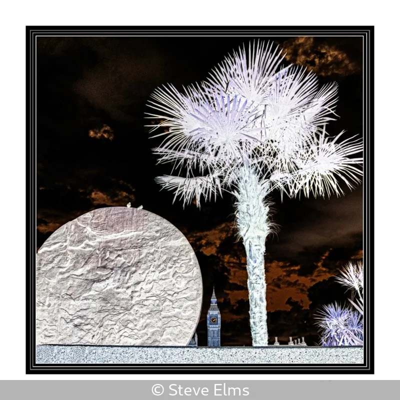Open_Steve Elms_001_null.jpg