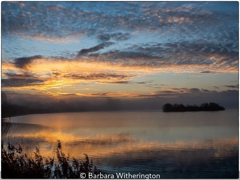 Intermediate_Barbara Witherington_Sunrise over the lake_9.jpg