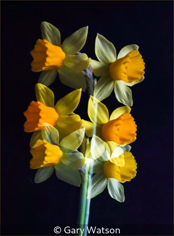 Intermediate_Gary Watson_001_7.5.jpg