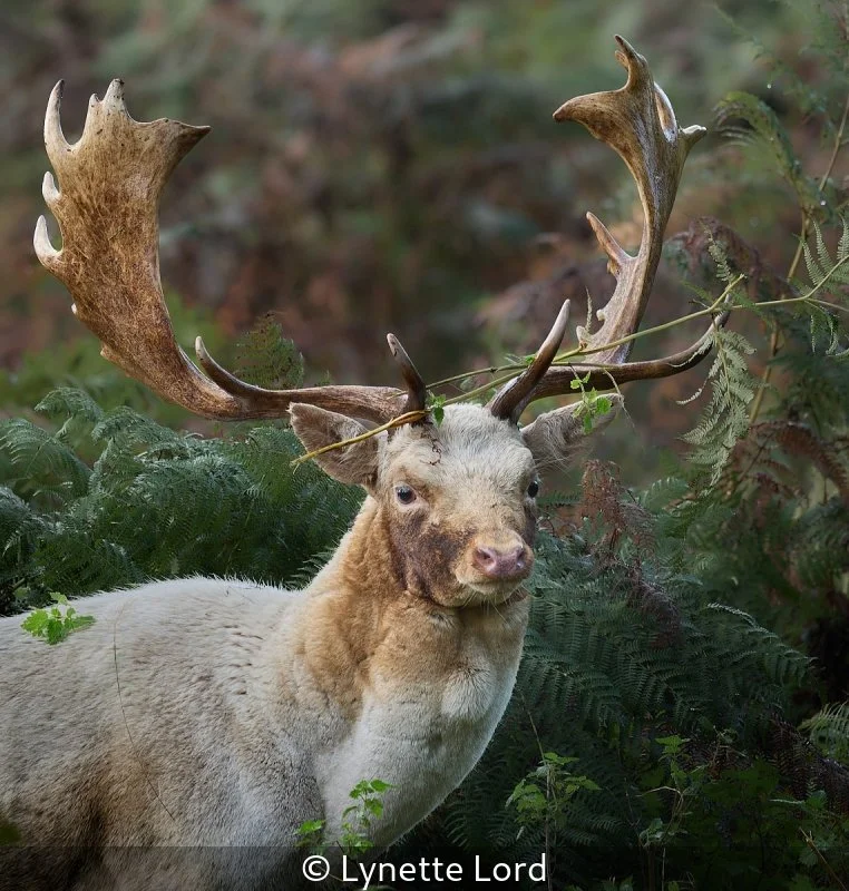 Open_Lynette Lord_001_8.jpg