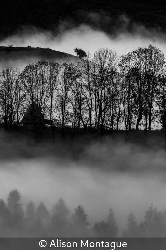 Club_Alison Montague_Misty morning layers_9.jpg