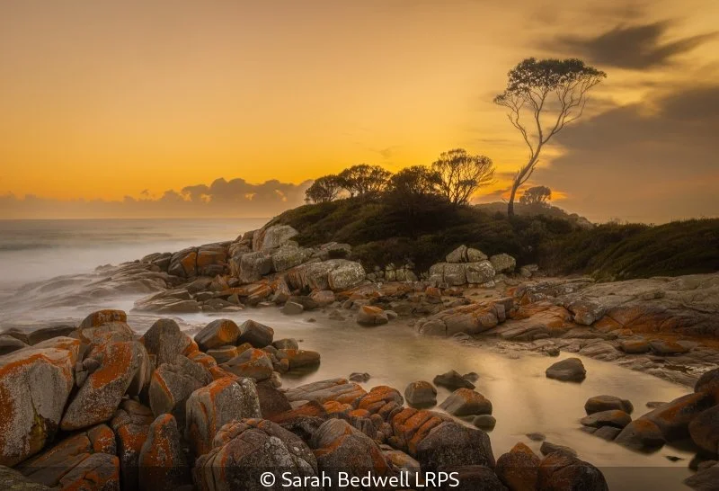 Advanced_Sarah Bedwell_Dawn, Bay of Fires_9.5.jpg