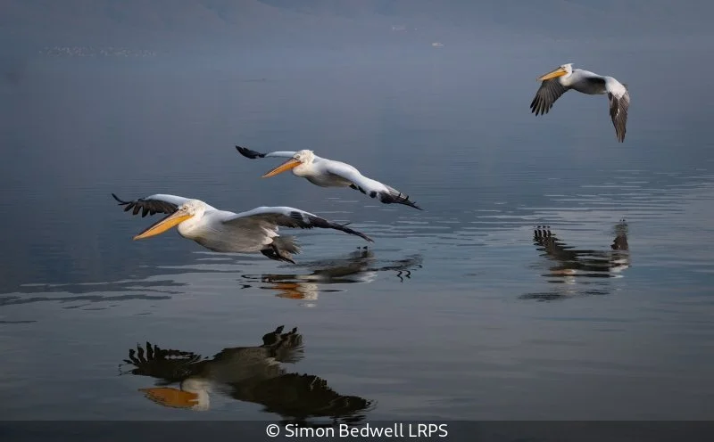 Open_Simon Bedwell_001_8.5.jpg