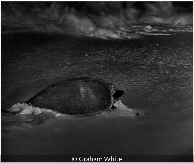 Open_Graham White_002_8.jpg