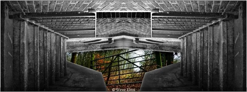 Advanced_Steve Elms_002_7.5.jpg