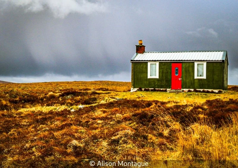 Club_Alison Montague_002_Not Selected.jpg