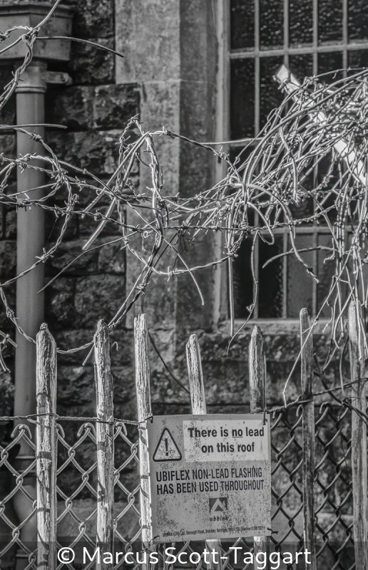 Advanced_Marcus Scott-Taggart_001_8.5.jpg