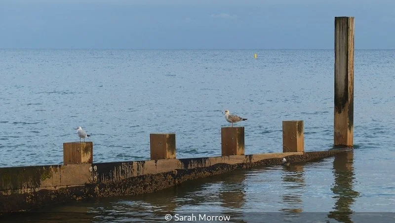 Club_Sarah Morrow_001_8.jpg