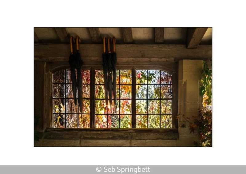 Intermediate_Seb Springbett_001_8.5.jpg