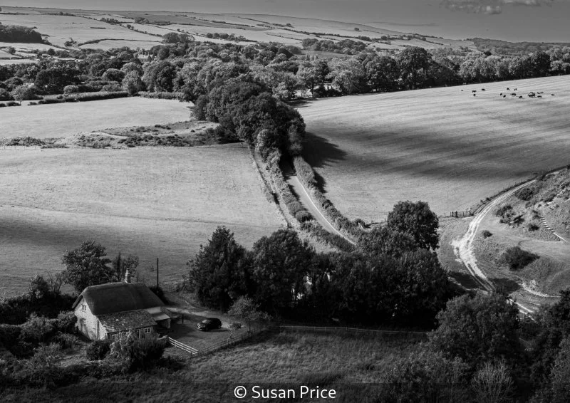 Club_Susan Price_002_7.5.jpg