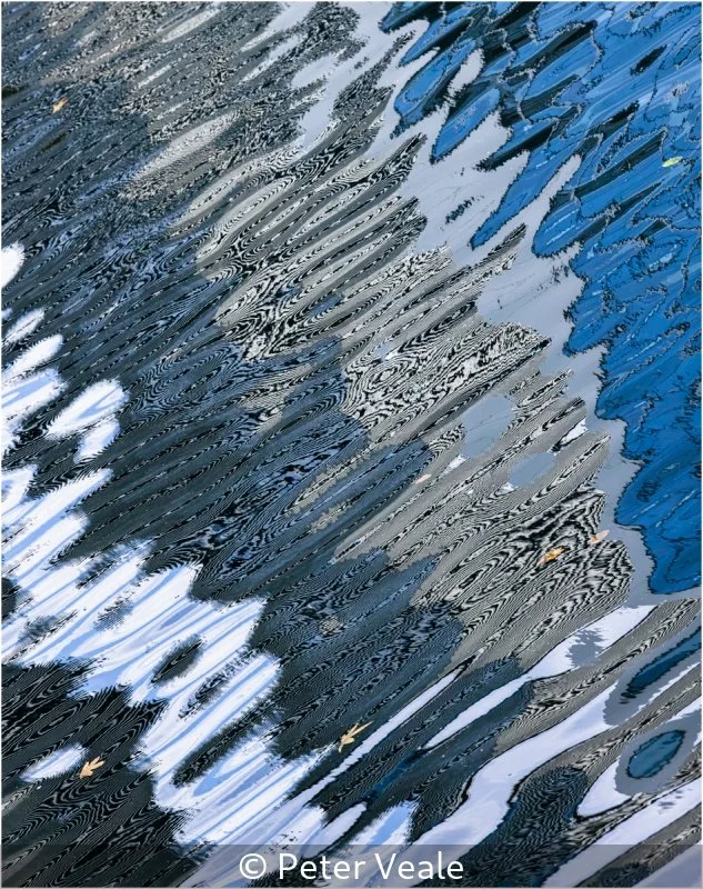 Advanced_Peter Veale_001_Highly Commended.jpg