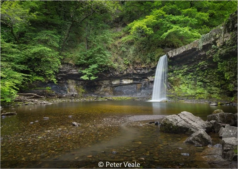 Advanced_Peter Veale_002_Not Selected.jpg