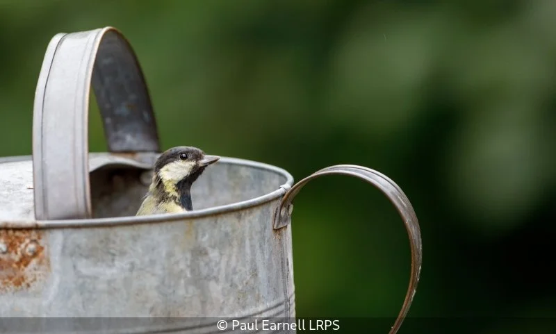 Advanced_Paul Earnell_002_8.jpg