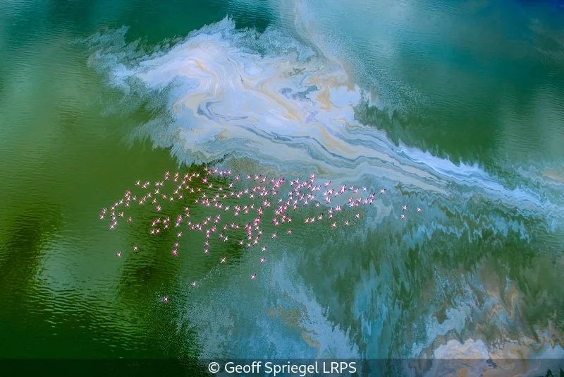 Open_Geoff Spriegel_002_10.jpg