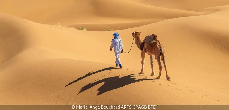 Advanced_Marie-Ange Bouchard_001_8.5.jpg