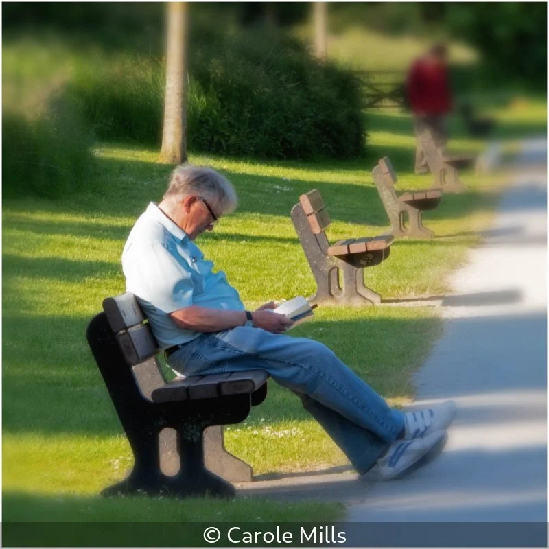 Carole Mills_Immerse Yourself in a Book_1.jpg