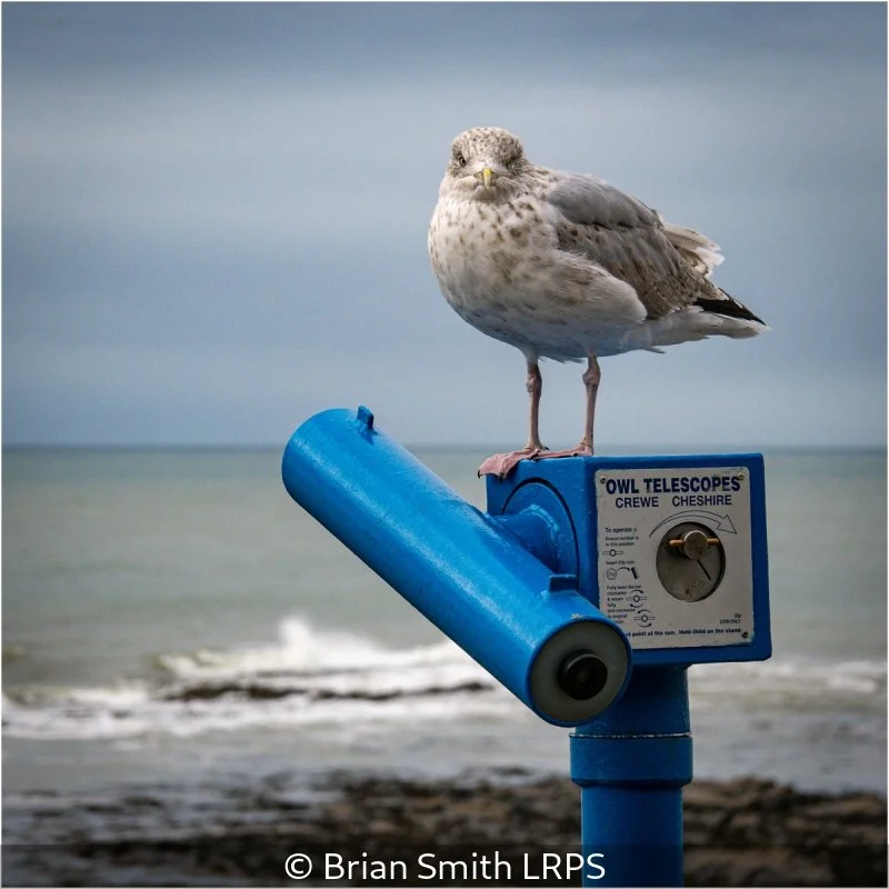 Advanced_Brian Smith_002_8.jpg