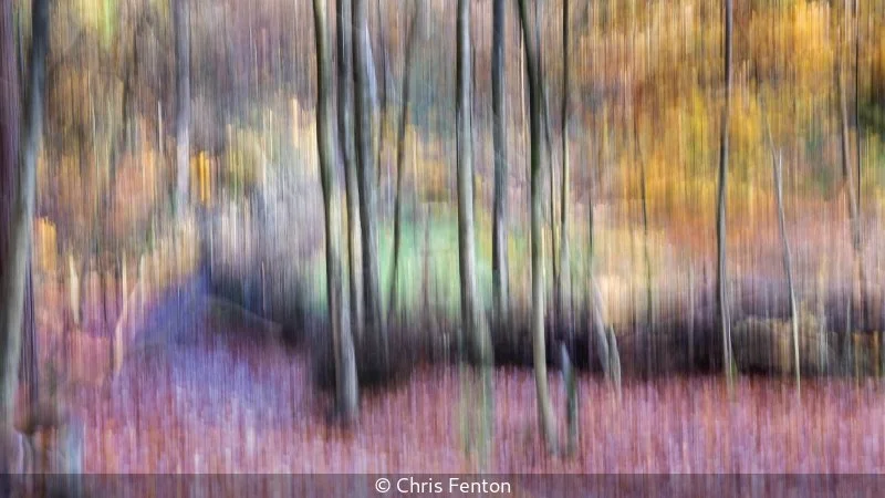 Advanced_Chris Fenton_001_Not Selected.jpg