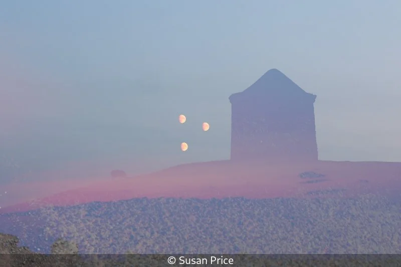 Club_Susan Price_002_Not Selected.jpg