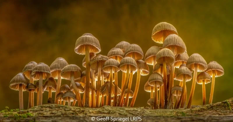 Advanced_Geoff Spriegel_Morning Assembly_10.jpg