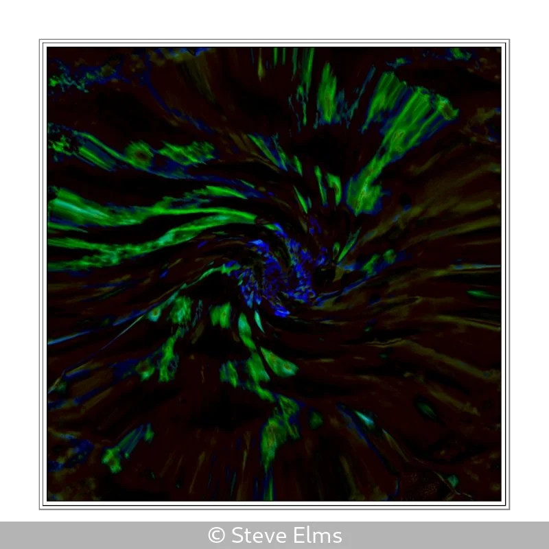 Advanced_Steve Elms_001_6.5.jpg