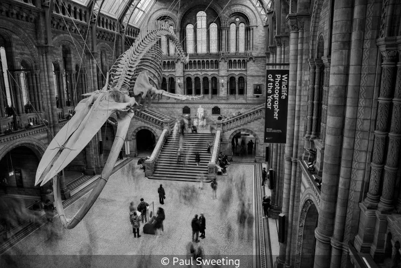 Club_Paul Sweeting_001_8.5.jpg