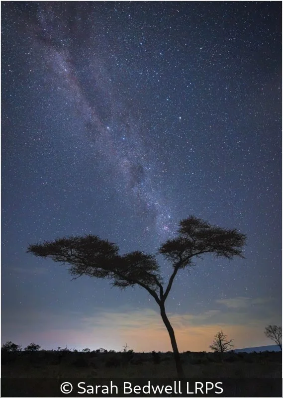 Advanced_Sarah Bedwell_Under African Skies_9.jpg