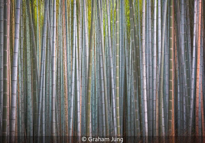 Club_Graham Jung_002_Commended.jpg