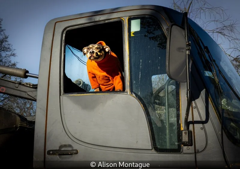 Club_Alison Montague_Delivery driver_First.jpg
