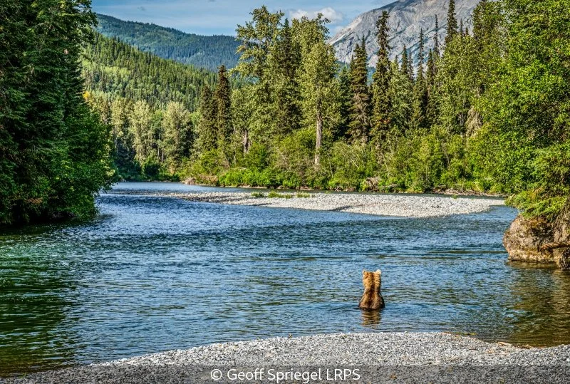 Open_Geoff Spriegel_001_8.5.jpg