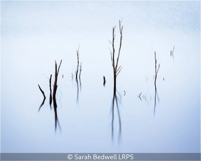 Advanced_Sarah Bedwell_001_7.jpg