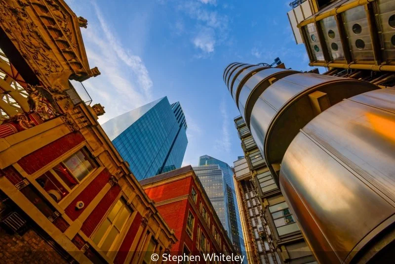 Advanced_Stephen Whiteley_002_8.5.jpg