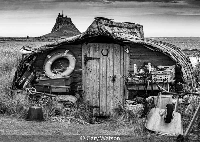 Advanced_Gary Watson_001_8.5.jpg