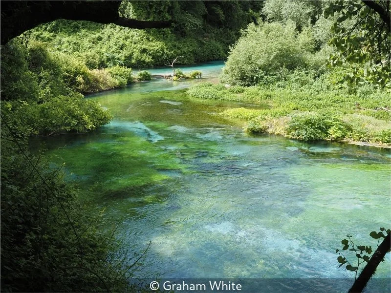 Intermediate_Graham White_002_8.jpg