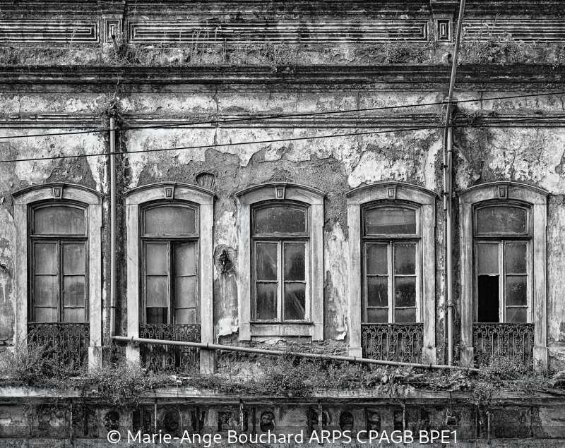 Advanced_Marie-Ange Bouchard_Decline and Decay_9.jpg