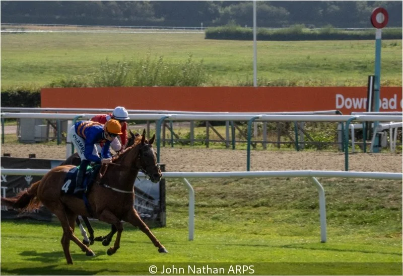 John Nathan_A Day at the Races_2.jpg