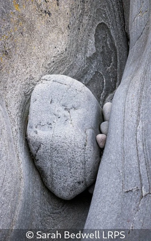 Advanced_Sarah Bedwell_002_Not Selected.jpg