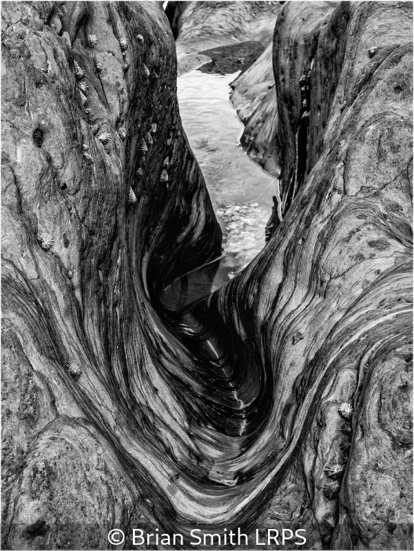 Advanced_Brian Smith_002_8.5.jpg